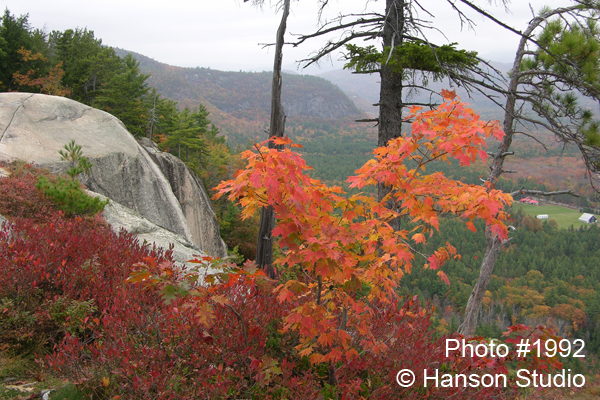 North Conway, NH - Foliage on Cathedral Ledge - Fall